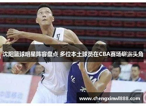 沈阳篮球明星阵容盘点 多位本土球员在CBA赛场崭露头角