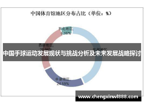 中国手球运动发展现状与挑战分析及未来发展战略探讨