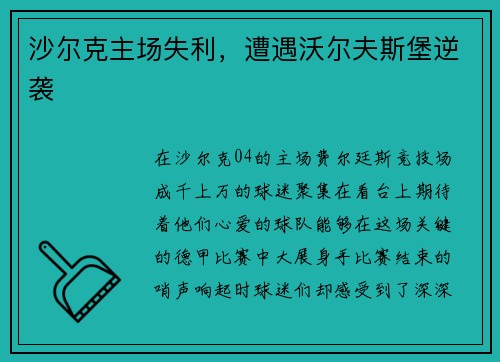 沙尔克主场失利，遭遇沃尔夫斯堡逆袭
